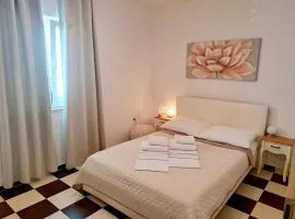 Apartments Roko