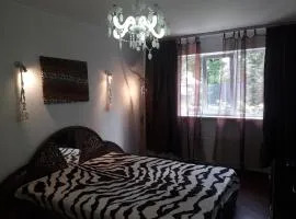 Apartment Oasis