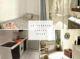 Le Tanneur- Grand Studio 38m2 en centre-ville