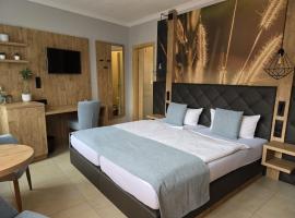 Hotel "Pension Marlis"，位于Reichenberg的酒店