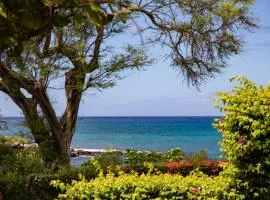 KBM Resorts: Napili Point NAP-A25 Stunning Ocean Front Villa Turtle Views Includes Rental Car