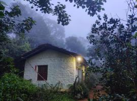 Secret Forest Old Home Munnar，位于Anachal的酒店