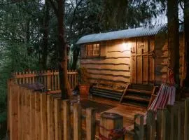 Llethrau Forest & Nature Retreats
