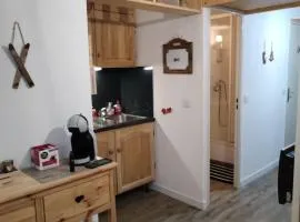 magnifique studio tout confort 24 m2 pied des pistes
