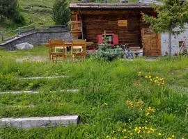 Chalet Renzo Livigno Il lusso del silenzio