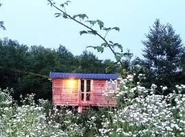 Glamping Casetta sul lago