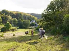 Ferme Équestre Equi'Cantal