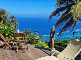 PACIFIC VIEW Homestay，位于普纳奥亚的带按摩浴缸的酒店