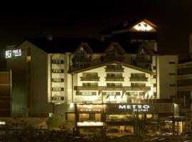 Metro Tourist Hotel Cheonan，位于天安市的酒店