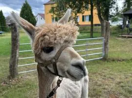 Gelbes Haus Seenland Ferienwohnungen XL