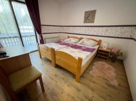 Guest House Kmečki Hram FORTUNA，位于伊德里亚的酒店