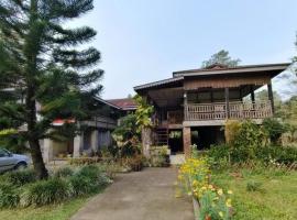 Asomi Singpho Homestay，位于Tinsukia的酒店