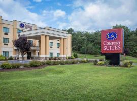 Comfort Suites，位于刘易斯堡的酒店