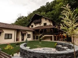 Odaia Vanatorului Transalpina