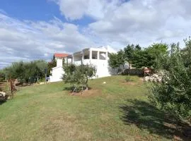 Apartments Antica - Edita