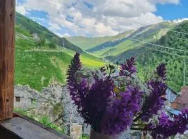 Koba Qaldani's Guest house