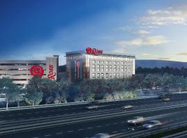 The Rose Gaming Resort，位于邓弗里斯的酒店