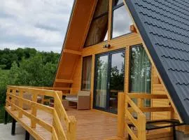 COLȚ DE RAI - A Frame