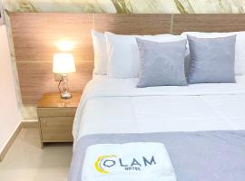 Hotel Olam Deluxe Valledupar，位于巴耶杜帕尔的酒店