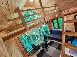 Bear Watching Tiny House，位于Lupeni的小屋