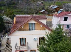 Bardhi Guesthouse