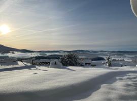 Hotel "Haus am Berg"，位于Rinchnach的酒店