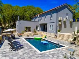 Luxury Villa Andrea Vrzika with gym-sauna-pool