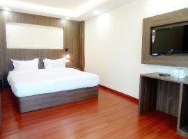 Hotel Aerolink，位于加德满都的酒店