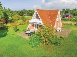 Three-Bedroom Holiday Home In Skjern