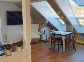 FeWo Hochsitz in Schonach