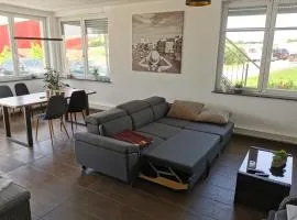 Ferienwohnung mit Garten und terasse Münsingen