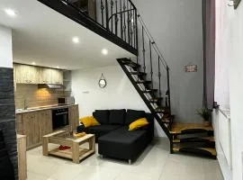 Apartament Studio Ultracentral Oradea