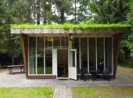 Gorgeous Home In Vledder With Wifi