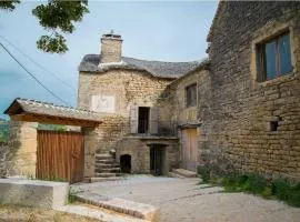 Domaine la vigne au villard jeune
