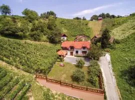 Amazing Home In Vinica With Wifi