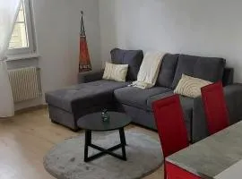 Appartement meublé