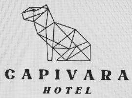 Hotel Capivara，位于穆库热的公寓式酒店