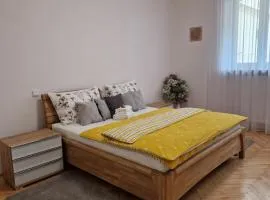 Apartmán Dlouhá 207