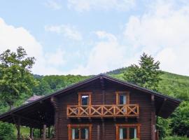 сottage "Ksenija" котедж "Ксенія"，位于斯科列的酒店