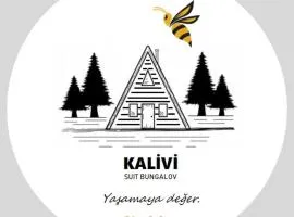 Kalivi Suit Bungalov