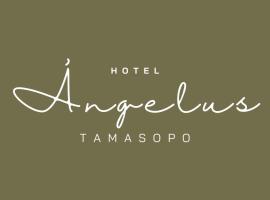 Hotel Ángelus - boutique，位于塔马索波的胶囊旅馆