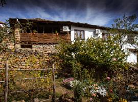 Porodična kuća Vitina Iža，位于皮罗特的酒店