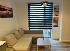 Lovely one -Bedroom Flat with Free parking 416