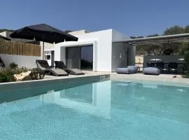 Mesogi Villas, brand new modern, stylish villas, private pool, seaviews