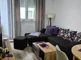 Apartman Dunja