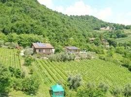 Agriturismo Cà del Manenti