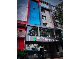 Hotel Blue Moon, Panchmarhi