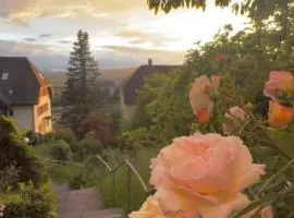 EMI2 Modern Apartment Free Parking Near Swiss Border