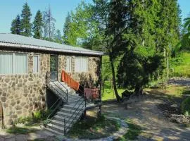 Tvaliakari