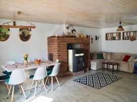 Holiday House Valiug，位于沃利乌格乡的酒店